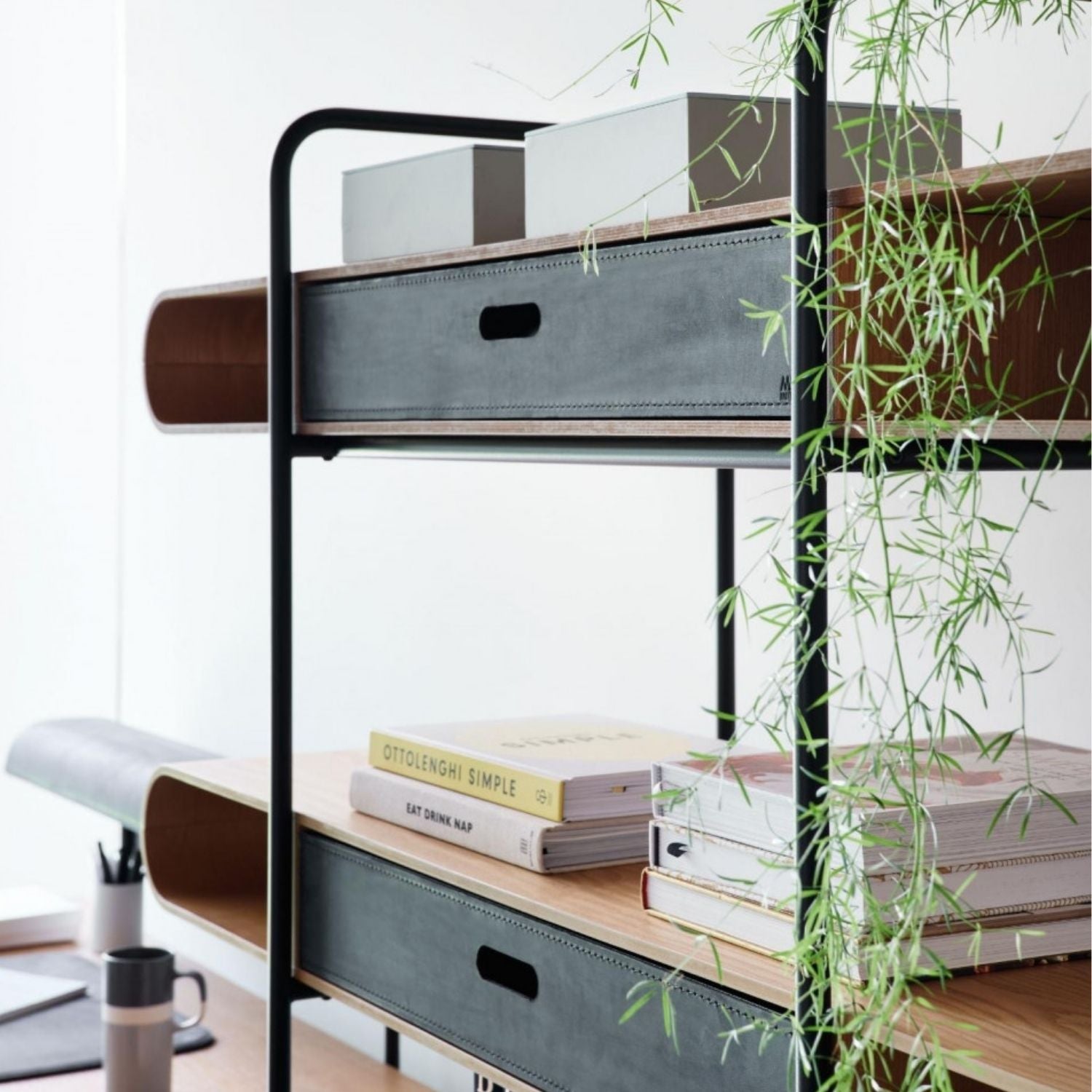 Apelle Bookcase