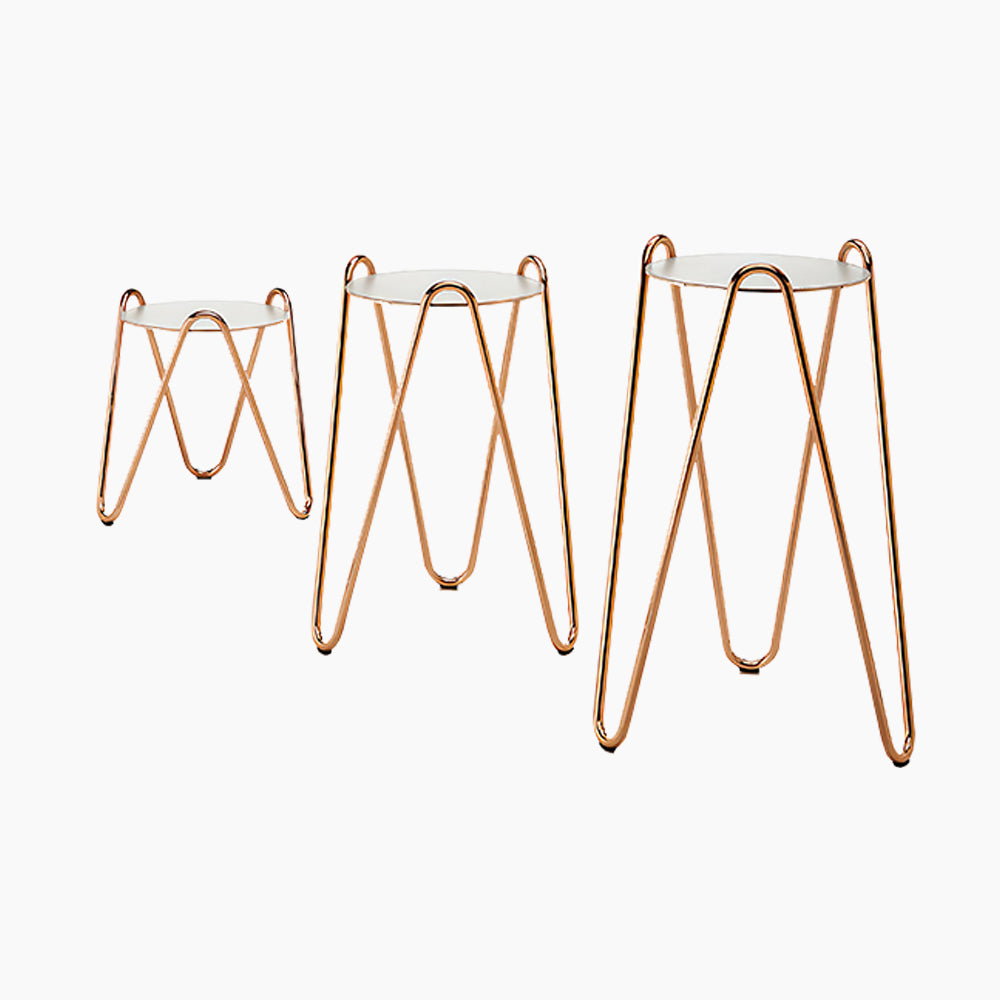 Apelle Chic Coffee Table